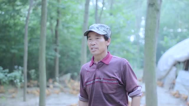 優(yōu)秀獎:《筑夢鄉(xiāng)村》報送單位:中垾鎮(zhèn)