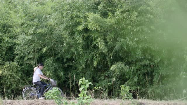 二等獎:《扶貧路上》報送單位:黃麓鎮(zhèn)