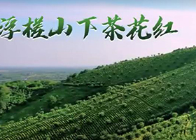 《浮槎山下茶花紅》（巢湖市廟崗鎮(zhèn)）